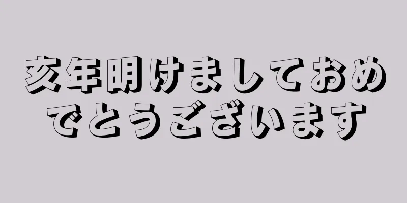 亥年明けましておめでとうございます