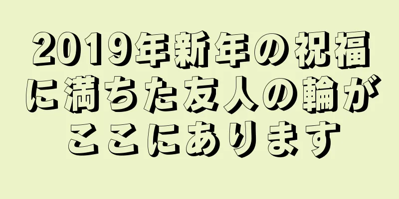 2019年新年の祝福に満ちた友人の輪がここにあります