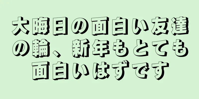 大晦日の面白い友達の輪、新年もとても面白いはずです