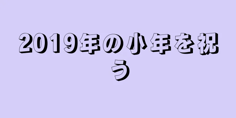 2019年の小年を祝う