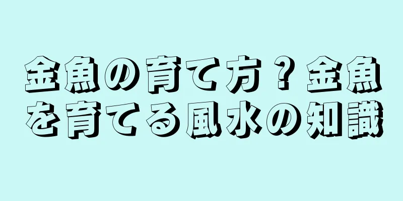 金魚の育て方？金魚を育てる風水の知識