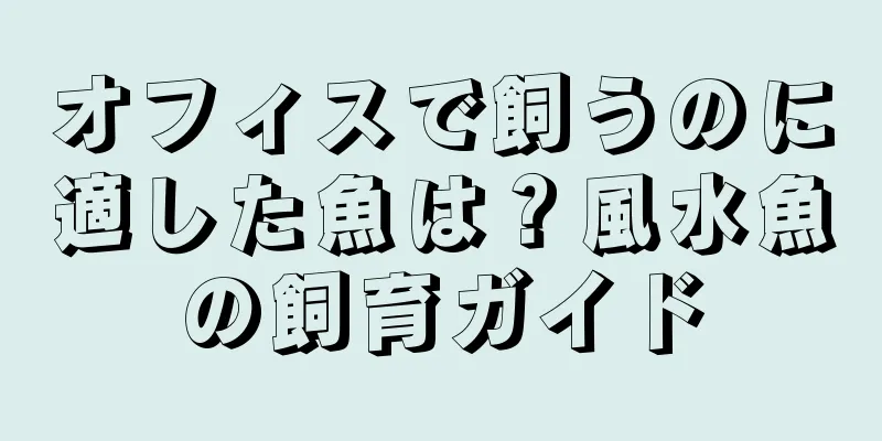 オフィスで飼うのに適した魚は？風水魚の飼育ガイド