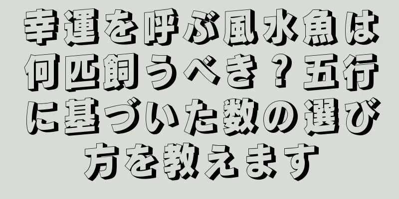 幸運を呼ぶ風水魚は何匹飼うべき？五行に基づいた数の選び方を教えます