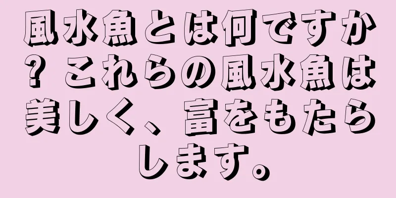 風水魚とは何ですか? これらの風水魚は美しく、富をもたらします。