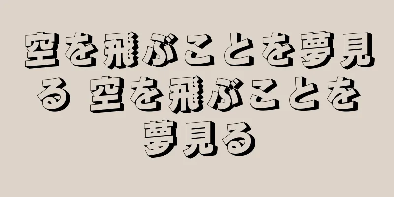 空を飛ぶことを夢見る 空を飛ぶことを夢見る