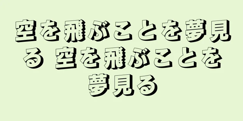 空を飛ぶことを夢見る 空を飛ぶことを夢見る