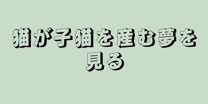 猫が子猫を産む夢を見る