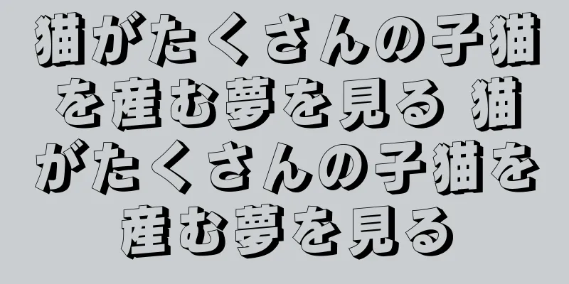 猫がたくさんの子猫を産む夢を見る 猫がたくさんの子猫を産む夢を見る