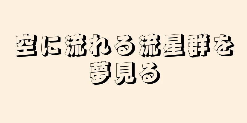 空に流れる流星群を夢見る
