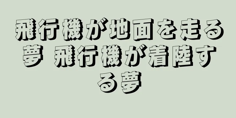 飛行機が地面を走る夢 飛行機が着陸する夢