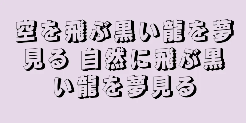 空を飛ぶ黒い龍を夢見る 自然に飛ぶ黒い龍を夢見る