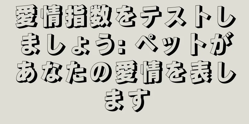 愛情指数をテストしましょう: ペットがあなたの愛情を表します