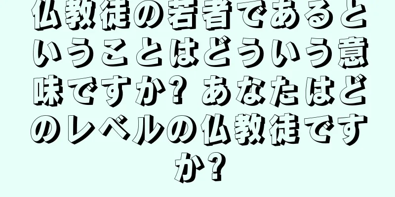 仏教徒の若者であるということはどういう意味ですか? あなたはどのレベルの仏教徒ですか?