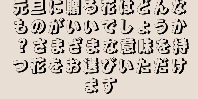 元旦に贈る花はどんなものがいいでしょうか？さまざまな意味を持つ花をお選びいただけます