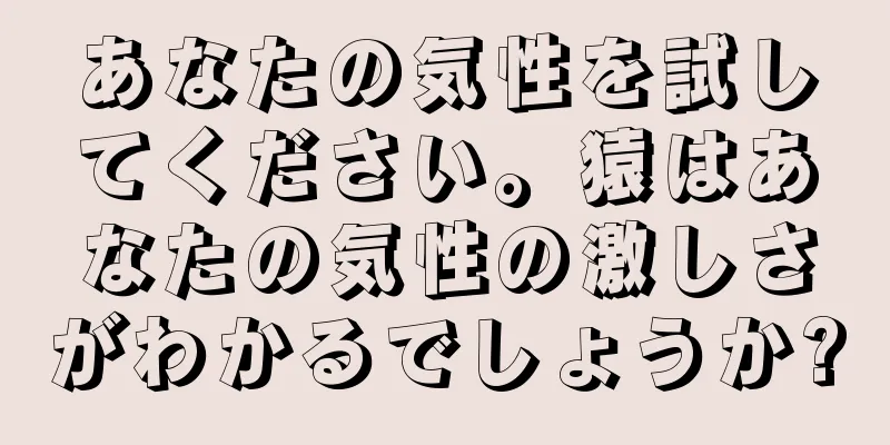 あなたの気性を試してください。猿はあなたの気性の激しさがわかるでしょうか?