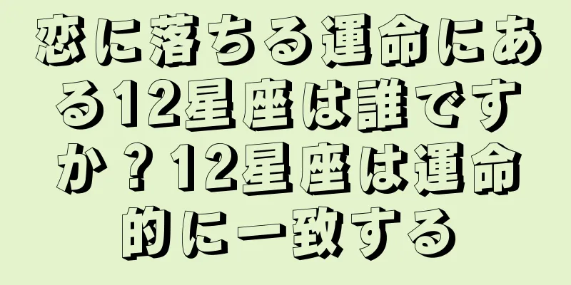 恋に落ちる運命にある12星座は誰ですか？12星座は運命的に一致する