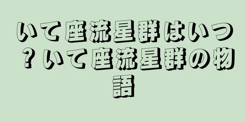 いて座流星群はいつ？いて座流星群の物語