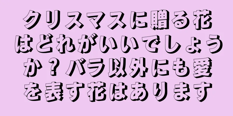 クリスマスに贈る花はどれがいいでしょうか？バラ以外にも愛を表す花はあります