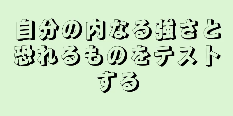 自分の内なる強さと恐れるものをテストする