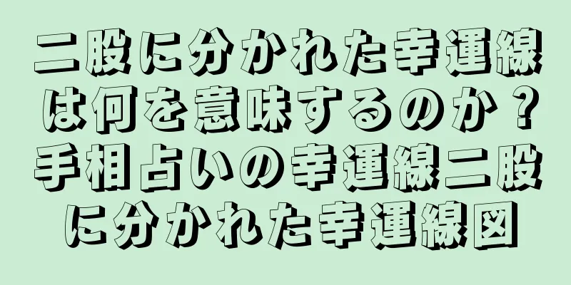 二股に分かれた幸運線は何を意味するのか？手相占いの幸運線二股に分かれた幸運線図
