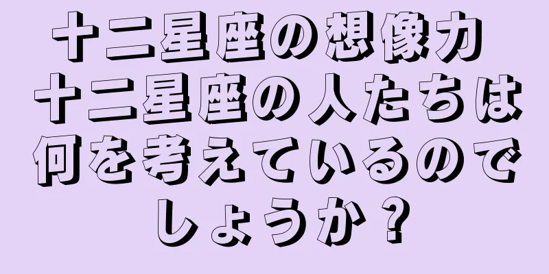 十二星座の想像力 十二星座の人たちは何を考えているのでしょうか？
