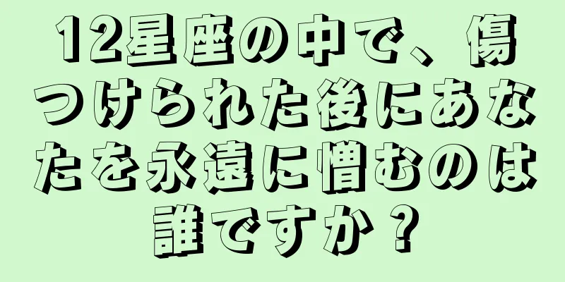 12星座の中で、傷つけられた後にあなたを永遠に憎むのは誰ですか？