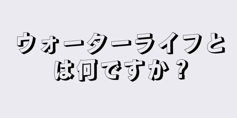 ウォーターライフとは何ですか？
