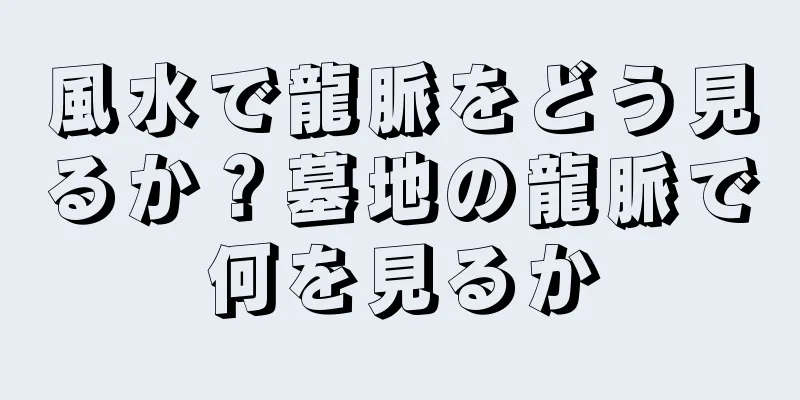 風水で龍脈をどう見るか？墓地の龍脈で何を見るか