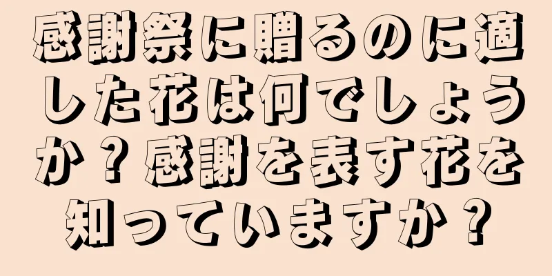 感謝祭に贈るのに適した花は何でしょうか？感謝を表す花を知っていますか？