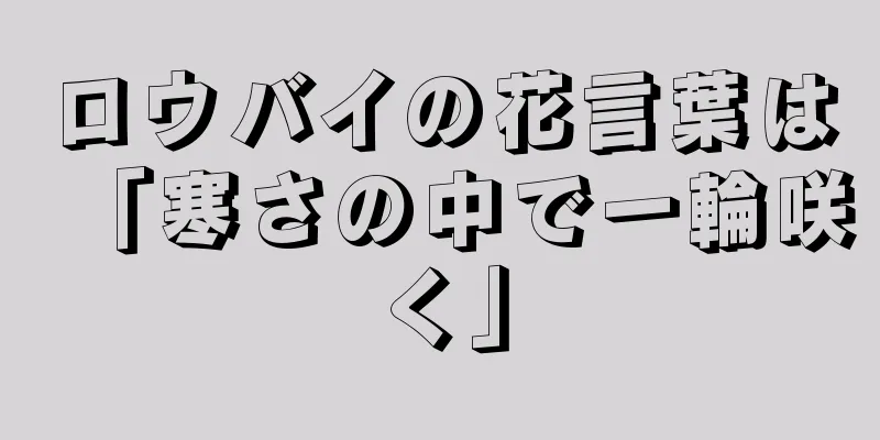 ロウバイの花言葉は「寒さの中で一輪咲く」