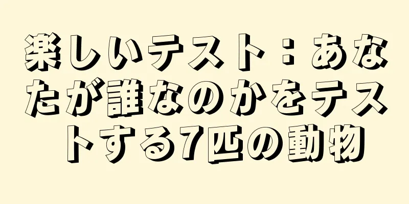 楽しいテスト：あなたが誰なのかをテストする7匹の動物