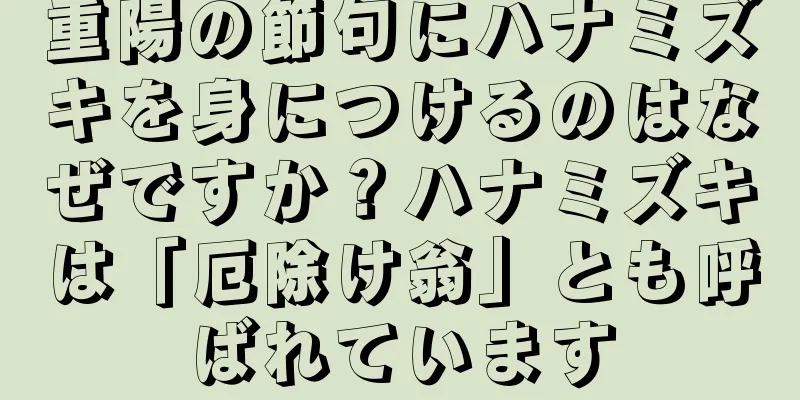 重陽の節句にハナミズキを身につけるのはなぜですか？ハナミズキは「厄除け翁」とも呼ばれています