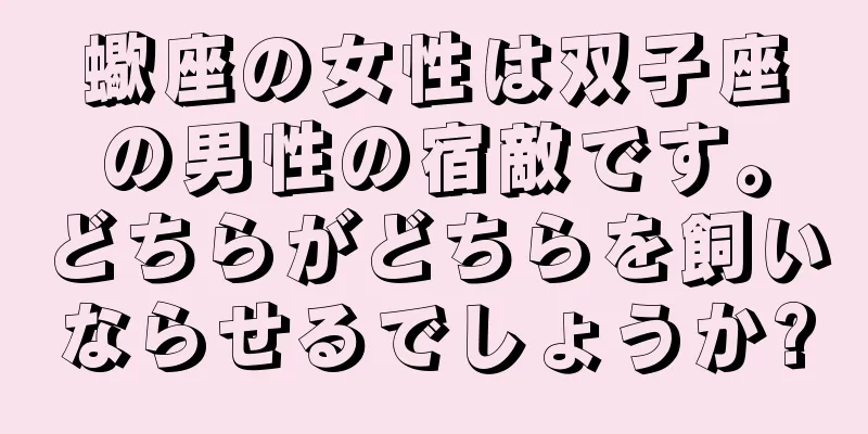 蠍座の女性は双子座の男性の宿敵です。どちらがどちらを飼いならせるでしょうか?