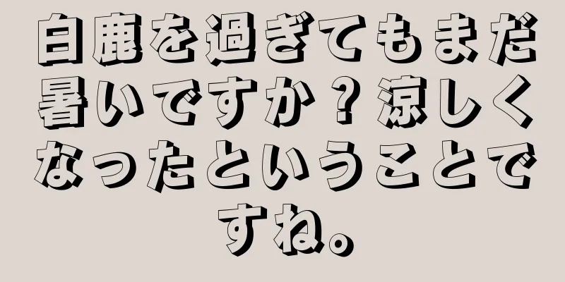 白鹿を過ぎてもまだ暑いですか？涼しくなったということですね。