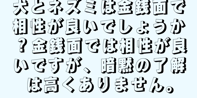 犬とネズミは金銭面で相性が良いでしょうか？金銭面では相性が良いですが、暗黙の了解は高くありません。