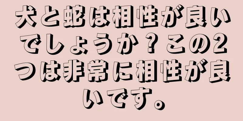 犬と蛇は相性が良いでしょうか？この2つは非常に相性が良いです。