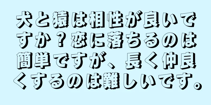 犬と猿は相性が良いですか？恋に落ちるのは簡単ですが、長く仲良くするのは難しいです。