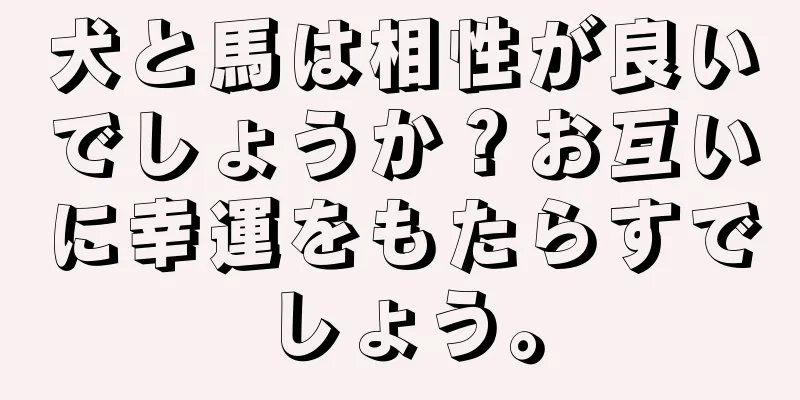 犬と馬は相性が良いでしょうか？お互いに幸運をもたらすでしょう。