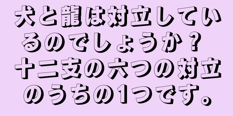 犬と龍は対立しているのでしょうか？ 十二支の六つの対立のうちの1つです。