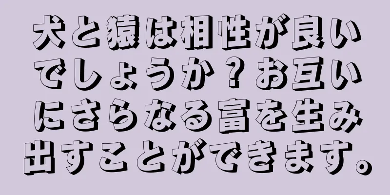 犬と猿は相性が良いでしょうか？お互いにさらなる富を生み出すことができます。