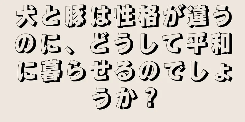 犬と豚は性格が違うのに、どうして平和に暮らせるのでしょうか？