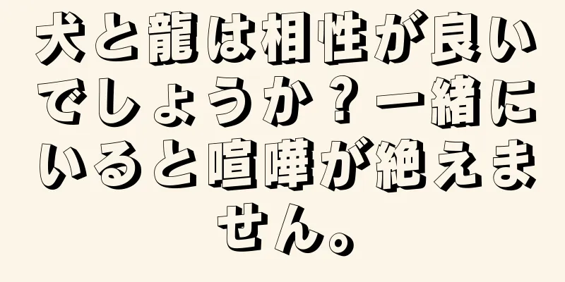 犬と龍は相性が良いでしょうか？一緒にいると喧嘩が絶えません。