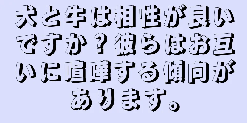 犬と牛は相性が良いですか？彼らはお互いに喧嘩する傾向があります。