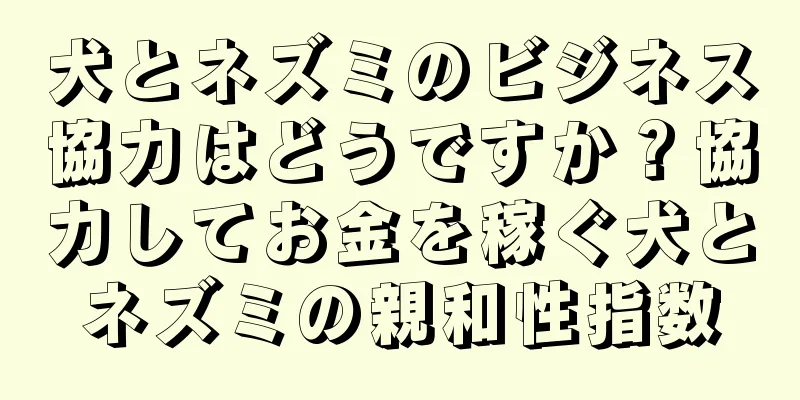 犬とネズミのビジネス協力はどうですか？協力してお金を稼ぐ犬とネズミの親和性指数