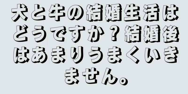 犬と牛の結婚生活はどうですか？結婚後はあまりうまくいきません。