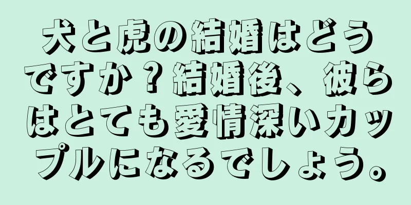 犬と虎の結婚はどうですか？結婚後、彼らはとても愛情深いカップルになるでしょう。