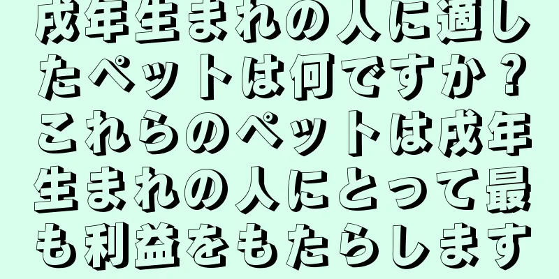 戌年生まれの人に適したペットは何ですか？これらのペットは戌年生まれの人にとって最も利益をもたらします
