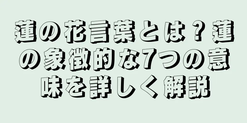 蓮の花言葉とは？蓮の象徴的な7つの意味を詳しく解説