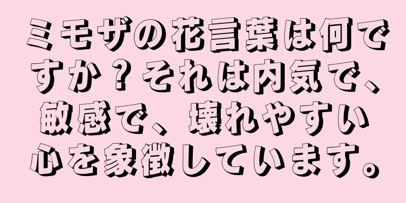 ミモザの花言葉は何ですか？それは内気で、敏感で、壊れやすい心を象徴しています。