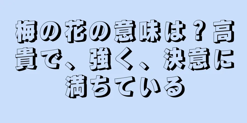 梅の花の意味は？高貴で、強く、決意に満ちている